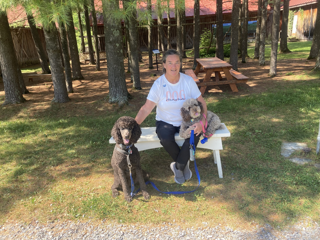 97264DE2-D4EF-4AD7-98EB-B788B60F77EF