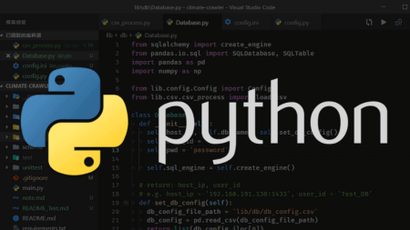 Master Python Basics (For Developer)