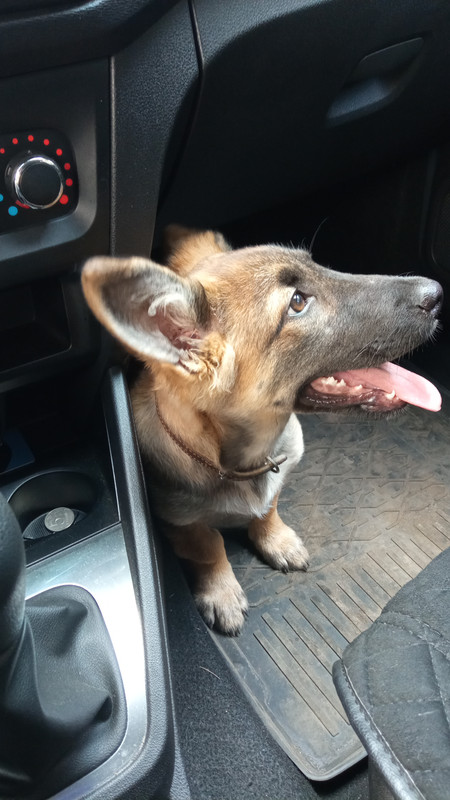 IMG-0553e0b82e0be2f9d3d3d0c63cd09144-V