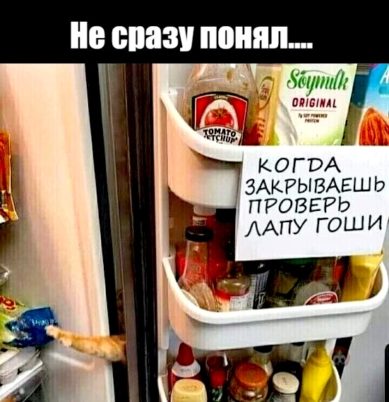 k4P2zkVSjM9kboabgWBMhcloEd5BWscowsBSty0ZtrKWUOE3pLVZ7MC2b8Xn_x-a0PNPNUgkFaHig1KjVqE2wL02