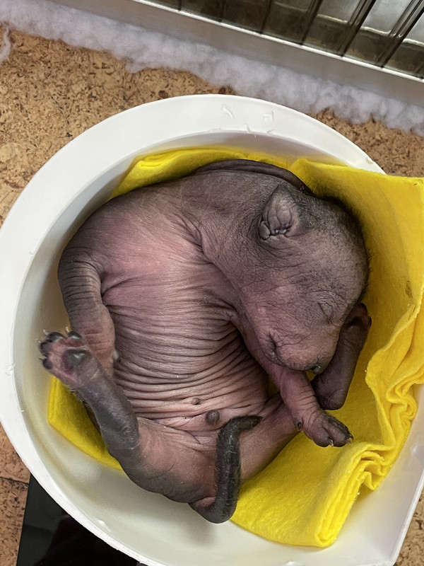 05A10165-E874-41EE-A652-E8563F8FB75B