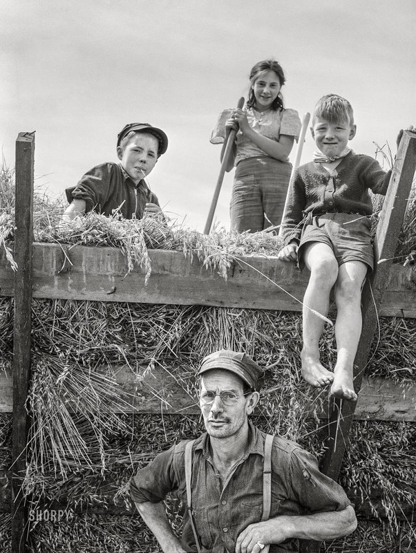 dairy-farmer