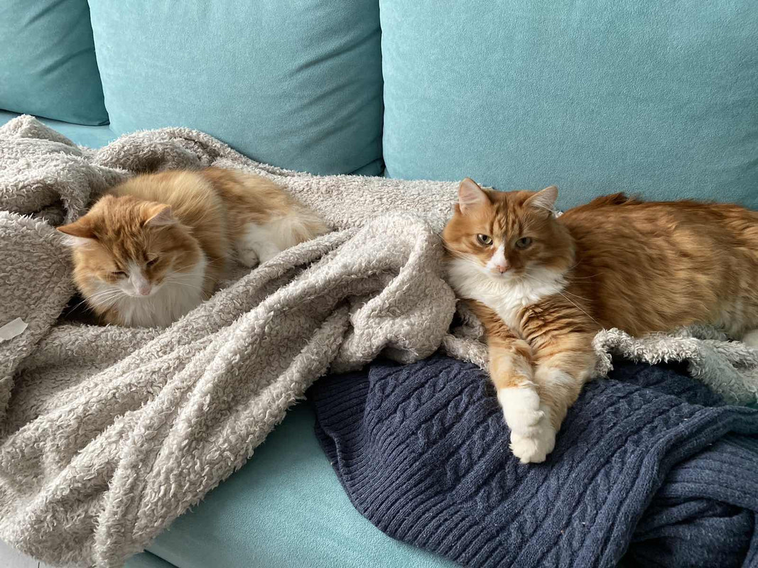 17B52E76-8E50-49A1-A310-81F8D840C40C