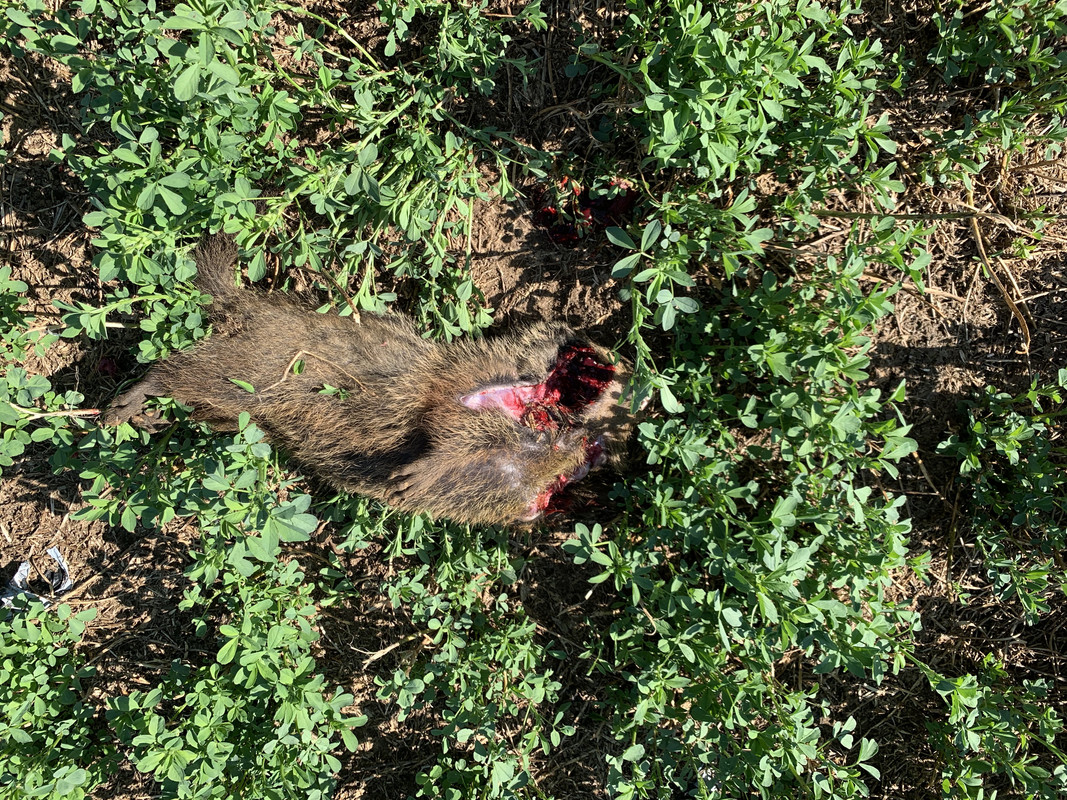 8954C22D-CEC7-447D-8012-83B68C534456