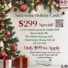 299 Special flyer