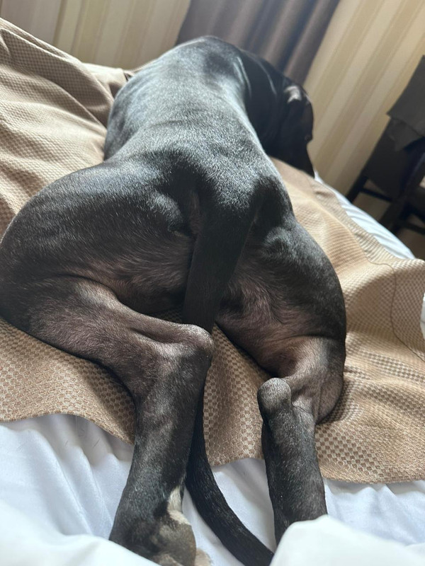 6B901B67-FCD6-49F9-88E1-55731EF44009