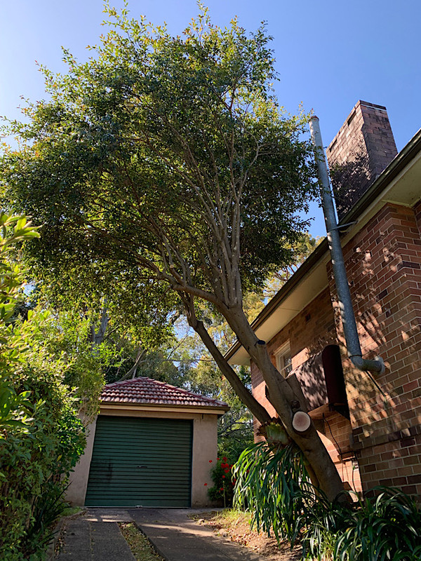 29BAEEB2-4652-4599-B445-615032873B62