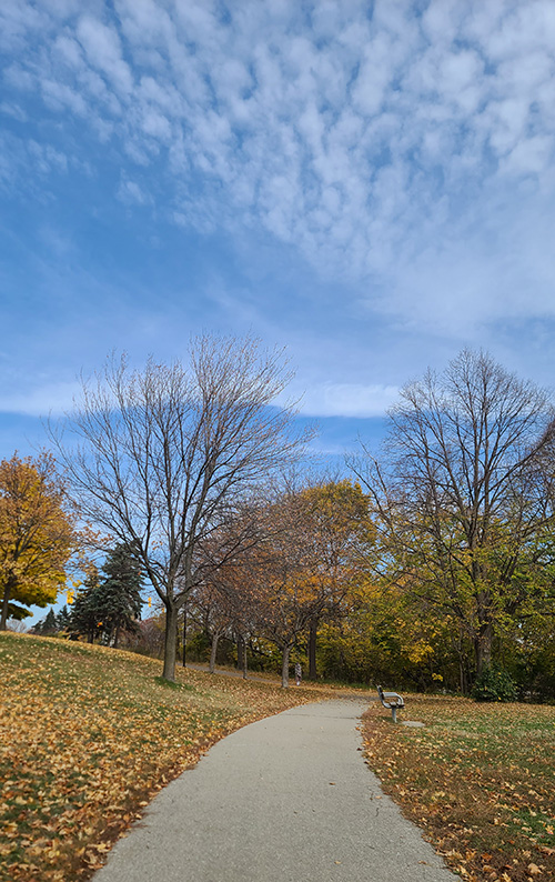 [Image: 20221030-125458.jpg]