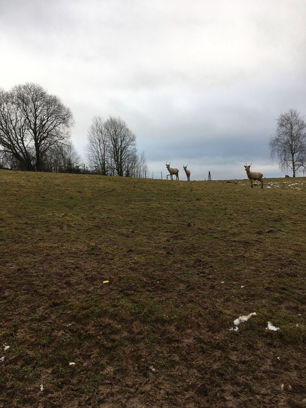 6EDCB434-4559-4F28-8FC2-30CF45D9B689