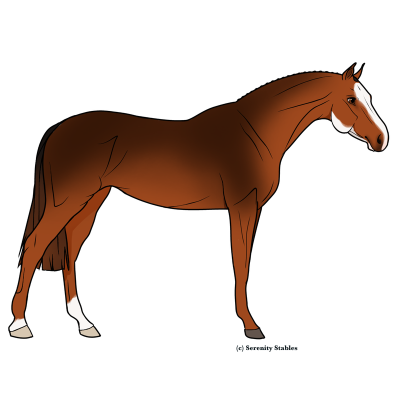 Untitled480-20240513220956.png