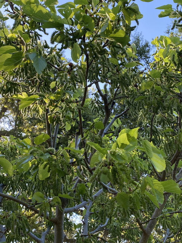 3D162768-207D-44E3-B76F-3B3515C031ED