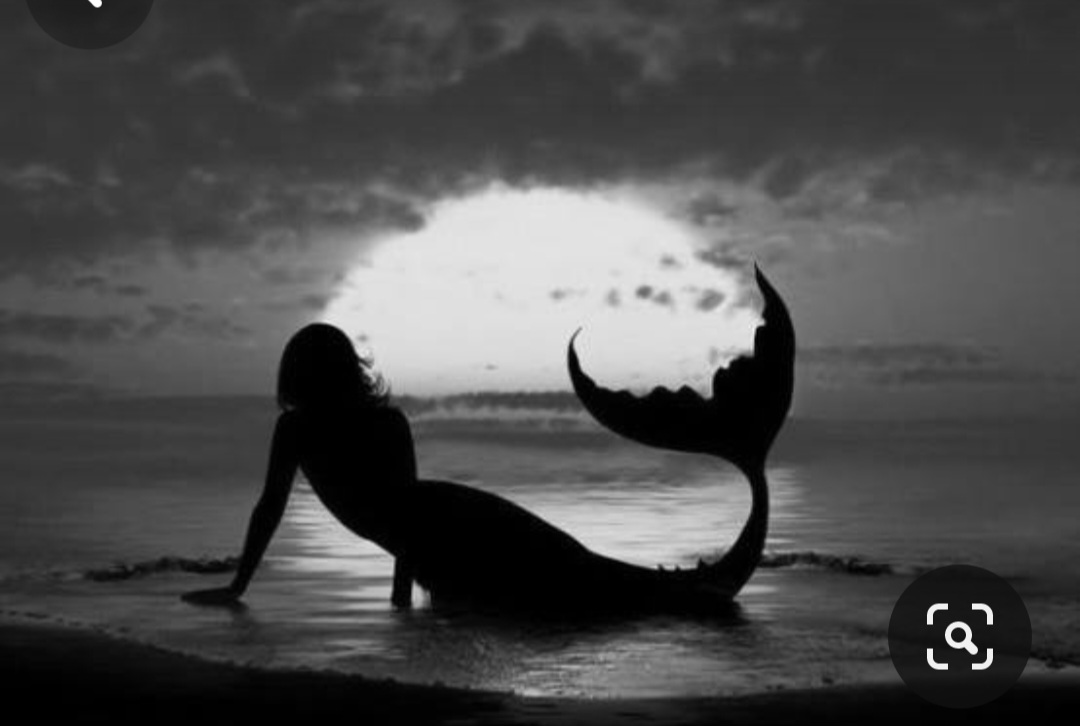 Screenshot_20240330_222749_Pinterest