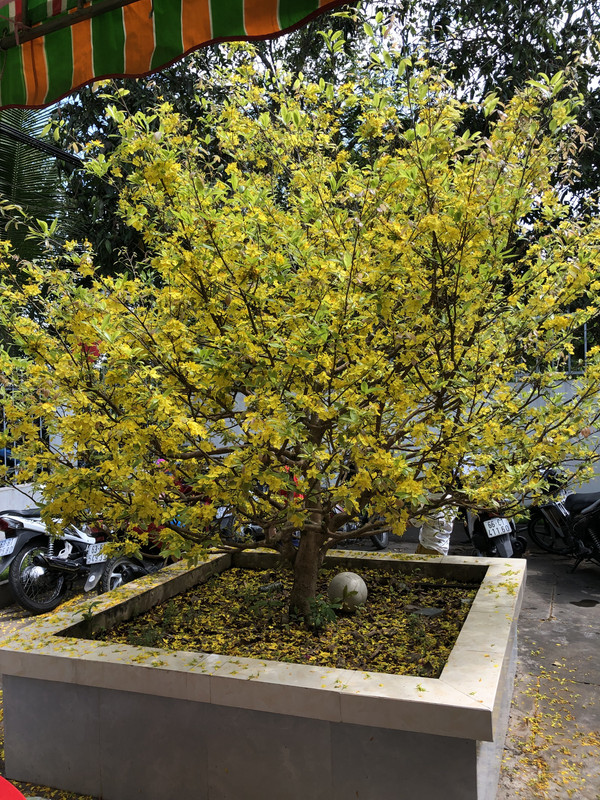 7198CAE7-8809-4A18-9963-7D9BBA968177