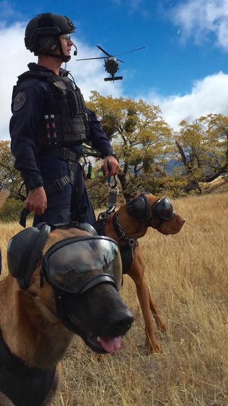 U.S. Coast Guard Maritime Safety & Security Team5