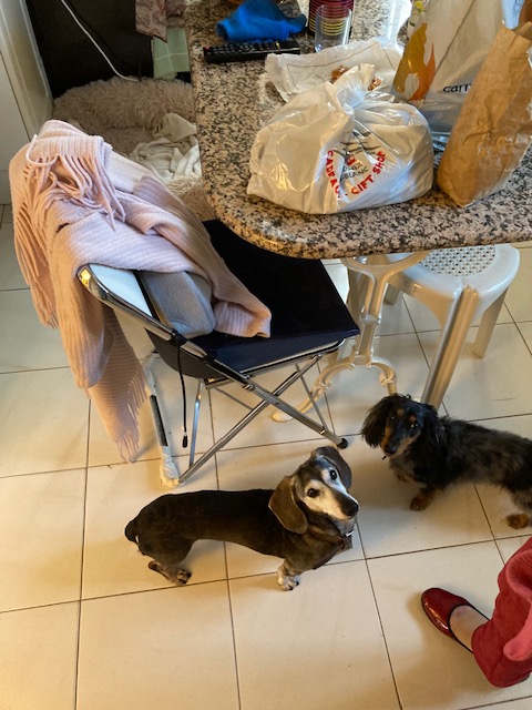 [Image: IMG-3906.jpg]