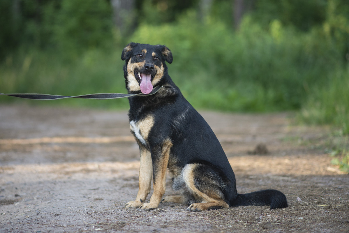 610_1189_минск!