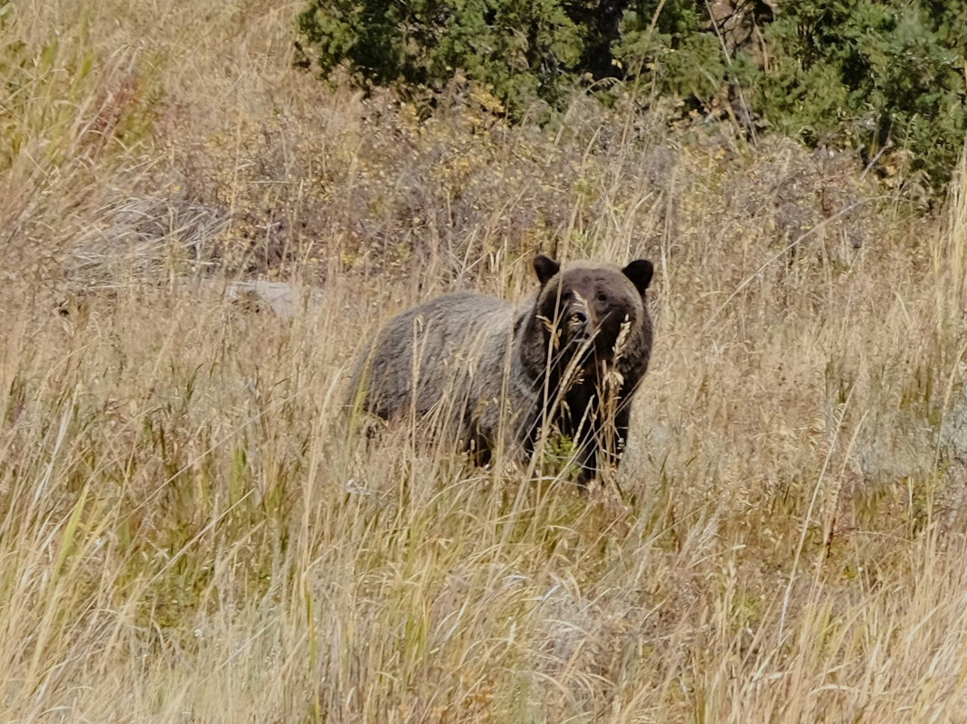 B00A8F9A-DE65-4EE5-A617-49984717D6F9