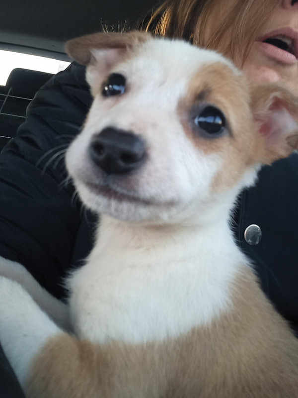 998DEA95-DE20-4709-9FA4-D0DF34E6FE1E