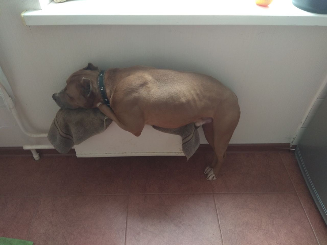 66CD5531-C79B-47D4-A7EA-D435B8DCE9CA