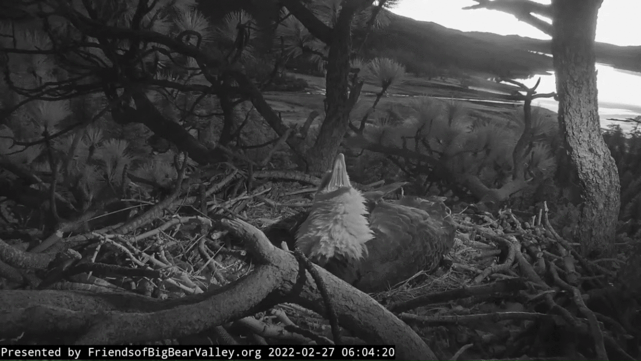 Webp.net-gifmaker (1)