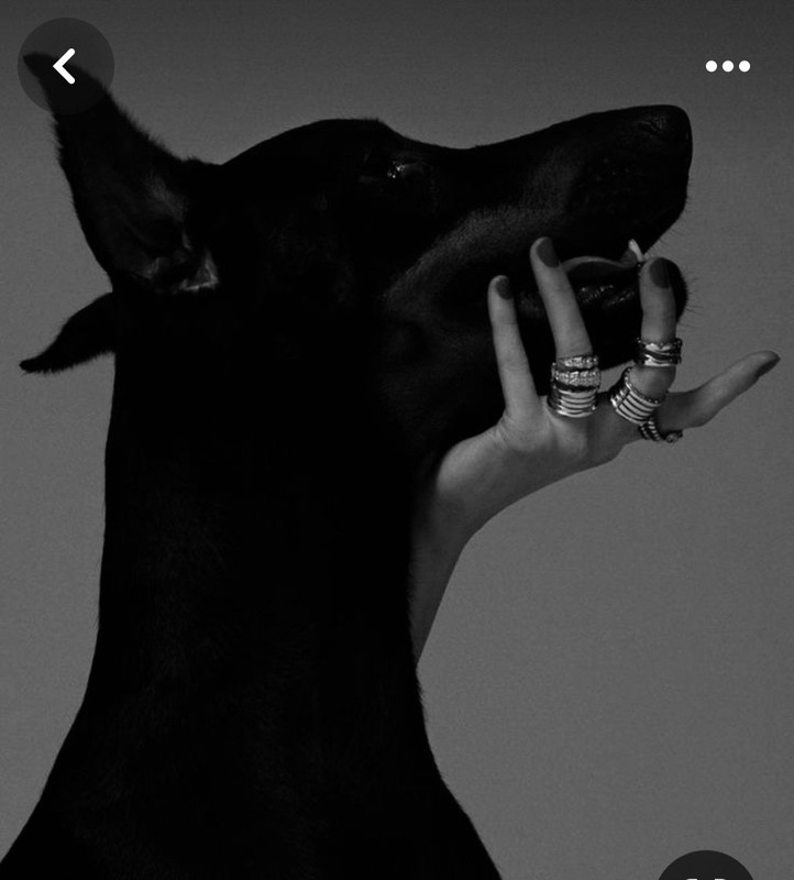 Screenshot_20240329_212017_Pinterest