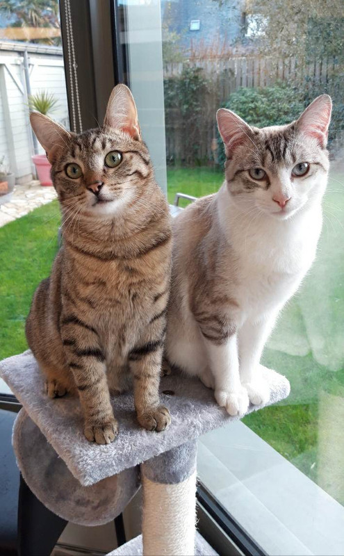 received_5669702819818956