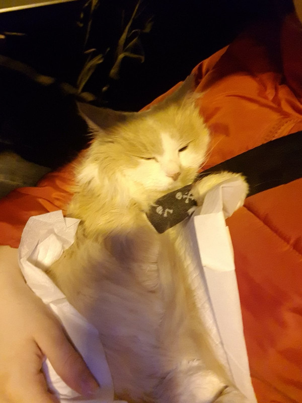 успокоился