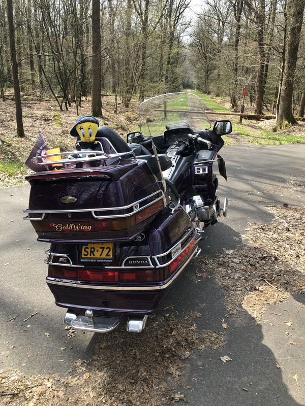 9E4A6490-085F-4A8C-8E60-CA333D89D543