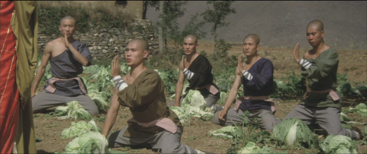 The Shaolin Temple (1982) (1080p BluRay x265 SAMPA)-07