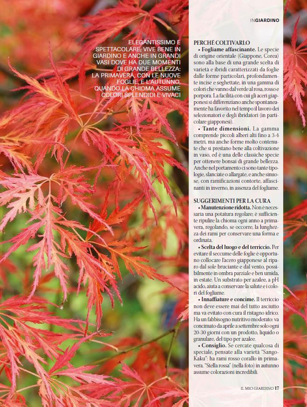 Il Mio Giar Ott-Nov 2024 (2)