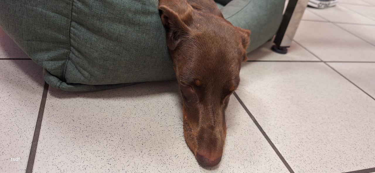 [Image: 20250807-173317.jpg]