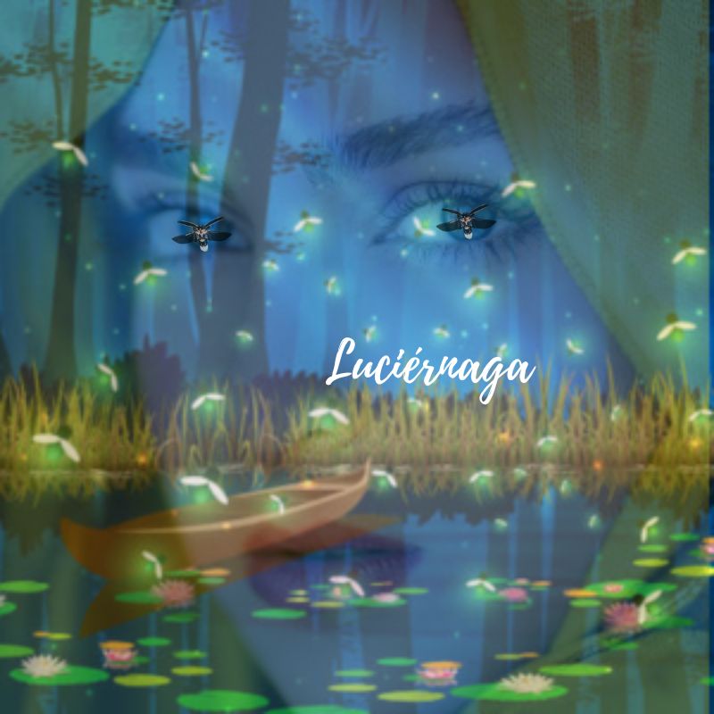 Luciérnaga - Kaseeq