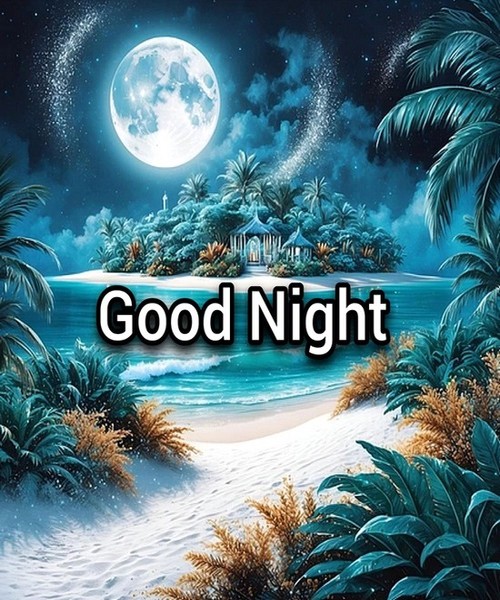 nighttt