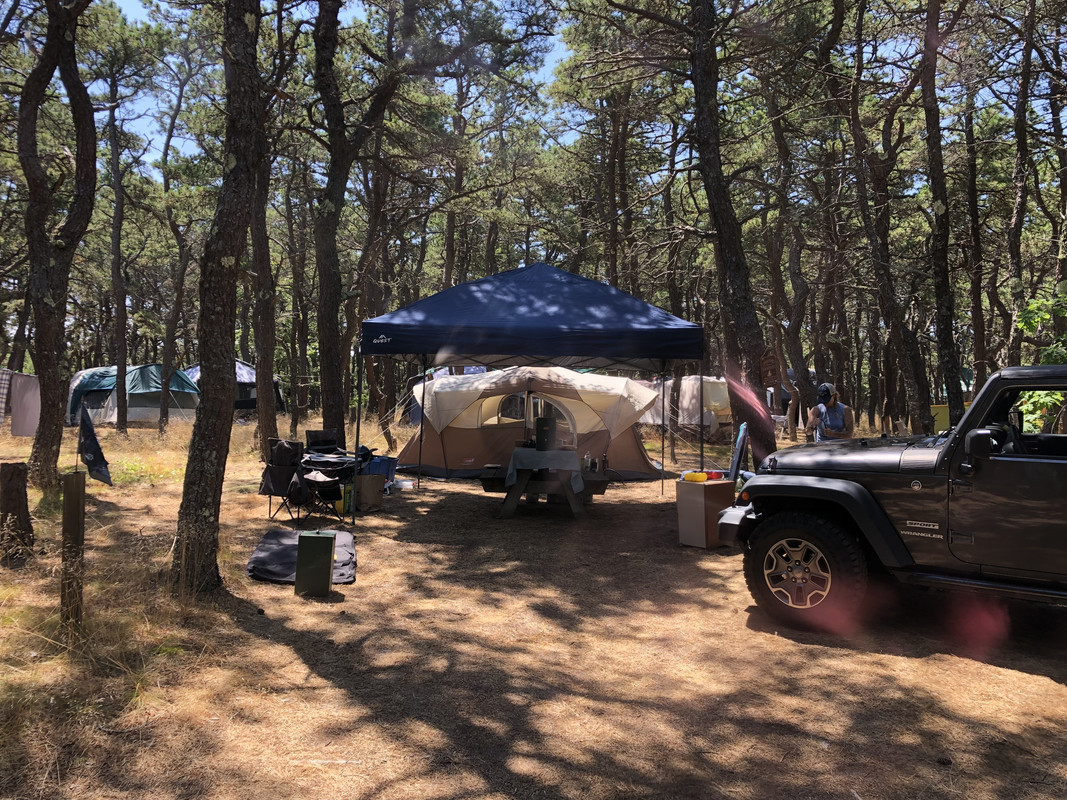 41B587CB-C993-43E1-A71D-92B7DA564903