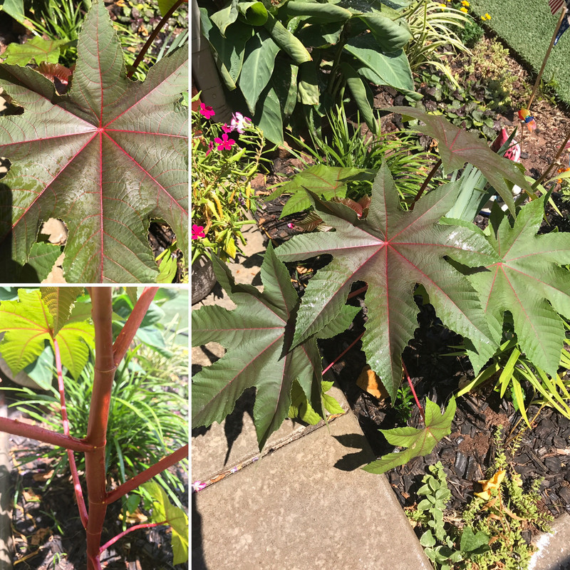 2FD3FE59-2ED2-4E97-AF1D-9431CA5FF928