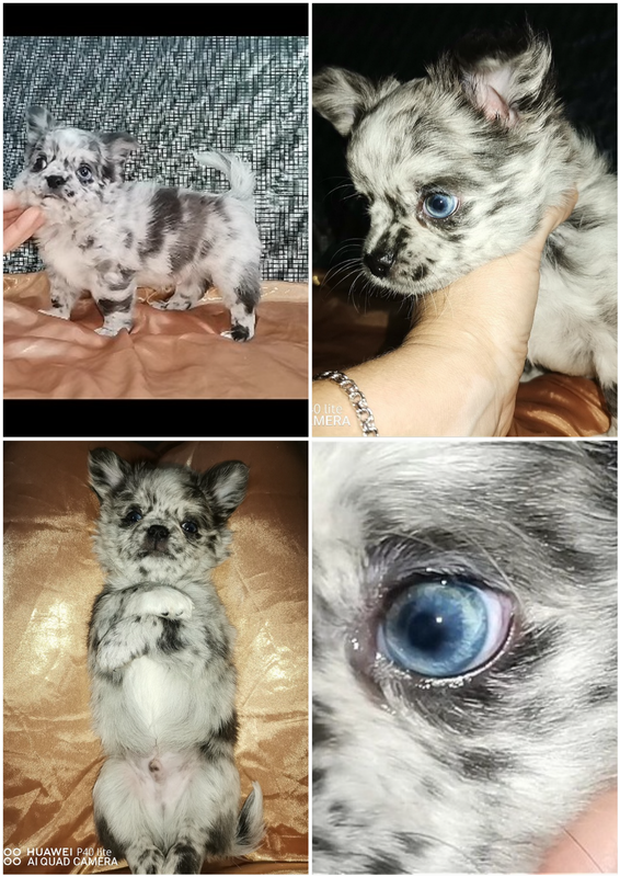 Фотоколлаж (1)