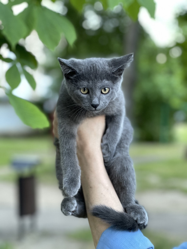 F9562E85-4C37-4214-B0BD-94B5F92BE4DE