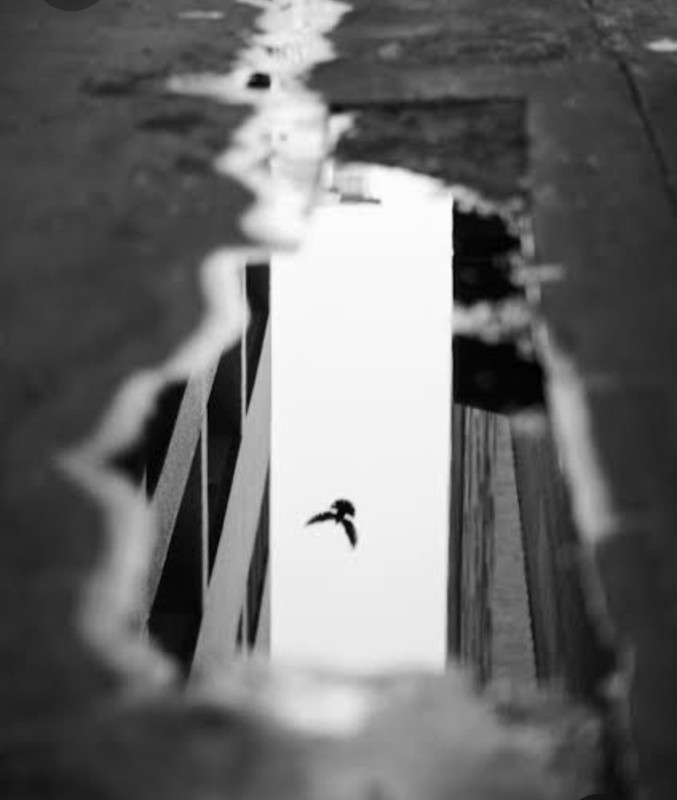 Screenshot_20230319_151457_Pinterest