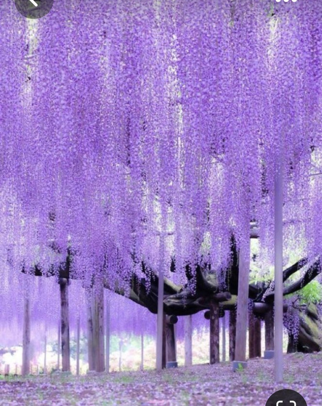 Screenshot_20230512_224222_Pinterest