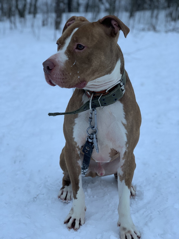 0A5E2DC1-DDA3-456A-BE31-B94FD879BB1E