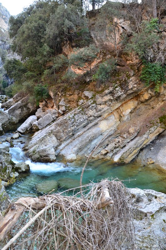 RUTA RIO BOROSA-12-3-2016-JAEN - Paseando por España-1991/2016 (198)