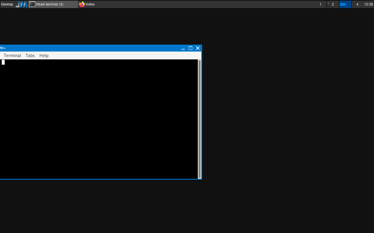 How Does Puppy Linux Enable Icons On Desktop Puppy Linux Discussion Forum