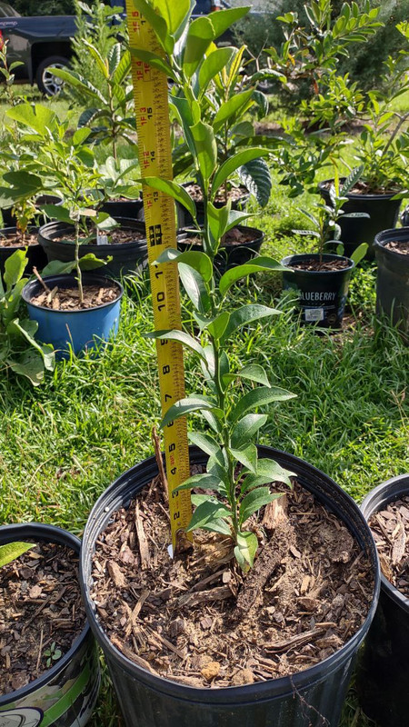 photo_2025-07-23_09-30-08 (2)