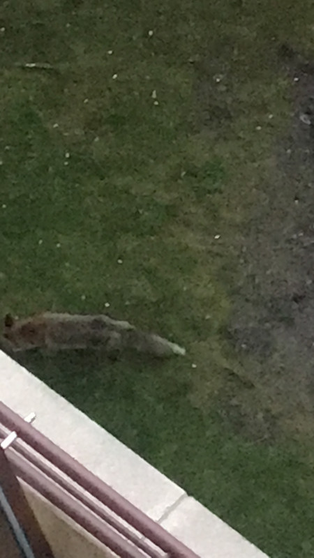 0EAC0463-0677-419A-BFE9-72CCFA5D9A30