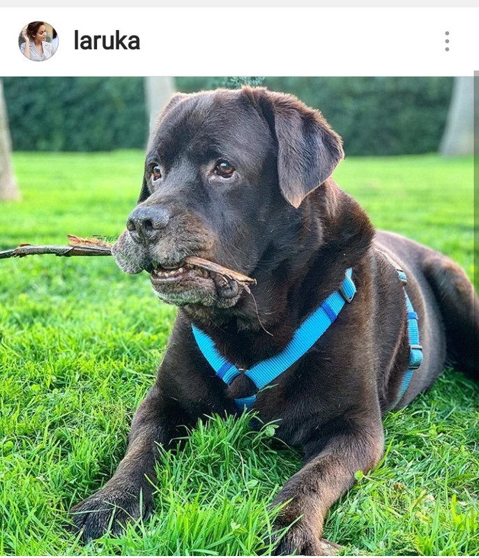 Screenshot_2018-12-28-23-20-07-613_com.instagram.android