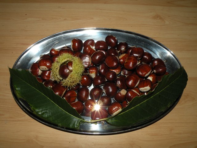 DSCN0850