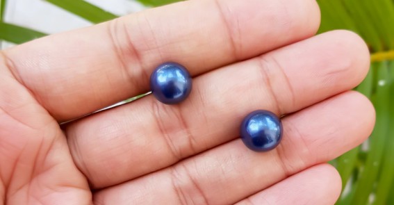 How Do Oysters Make Colored Pearls