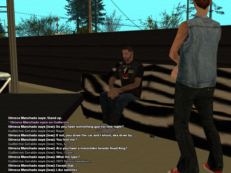 ssroleplay1057.png