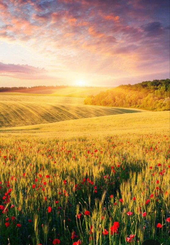 Screenshot_20240320_232856_Pinterest