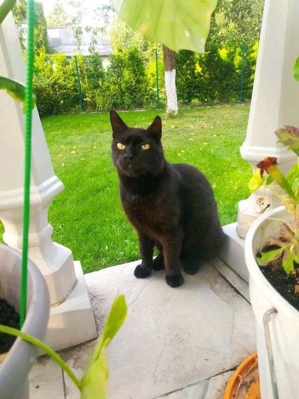 IMG-d442e0de949fe7b847ecc07776c7535c-V